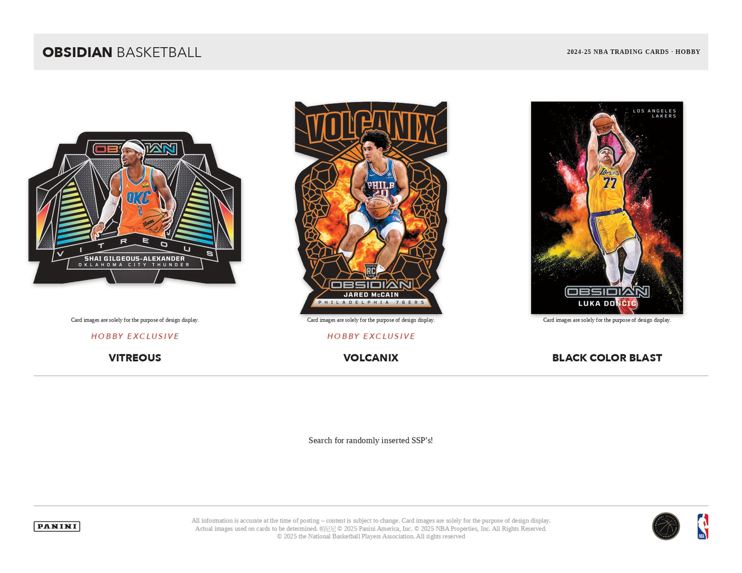2024-25 Obsidian Basketball Hobby Box SSP Card
