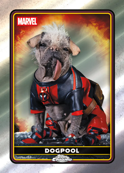 Dogpool